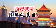男人女人鸡巴插进去网站中国陕西-西安城墙旅游风景区